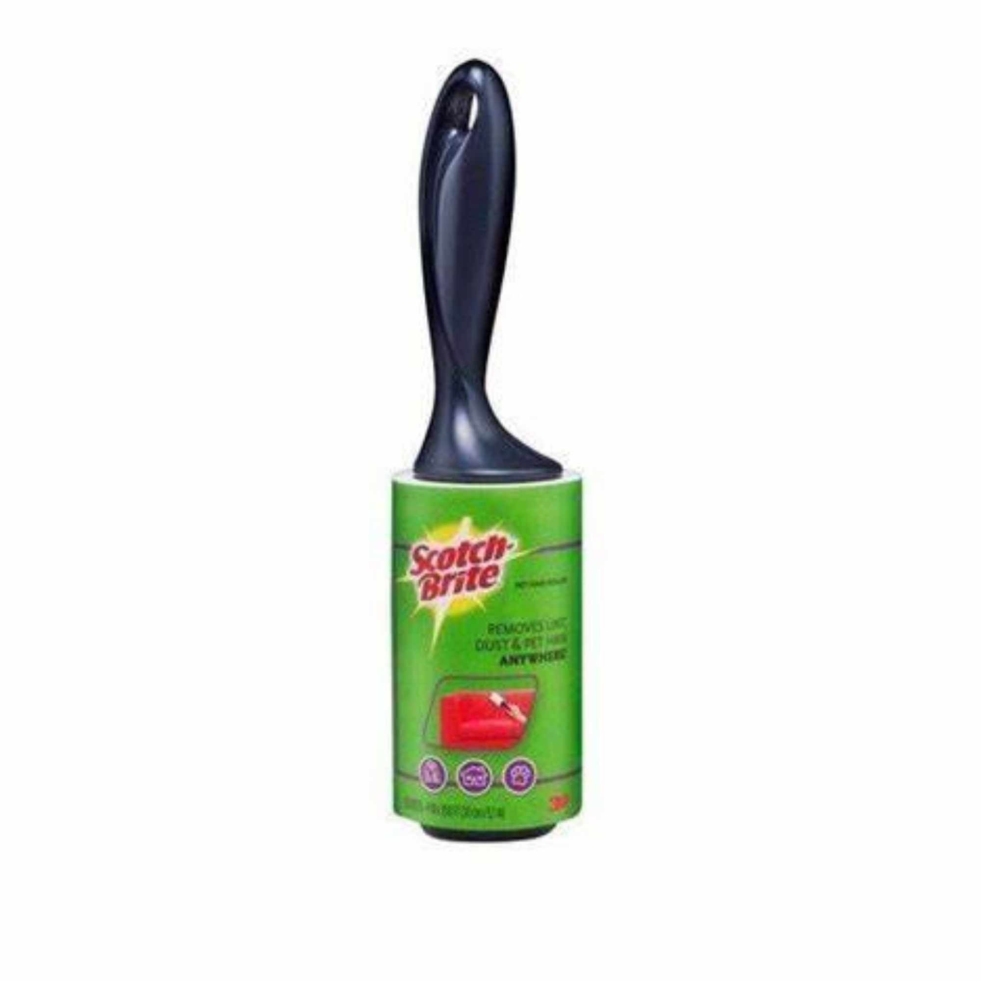 Cây lăn bụi 56 lớp 3MCây lăn bụi 56 lớp 3M