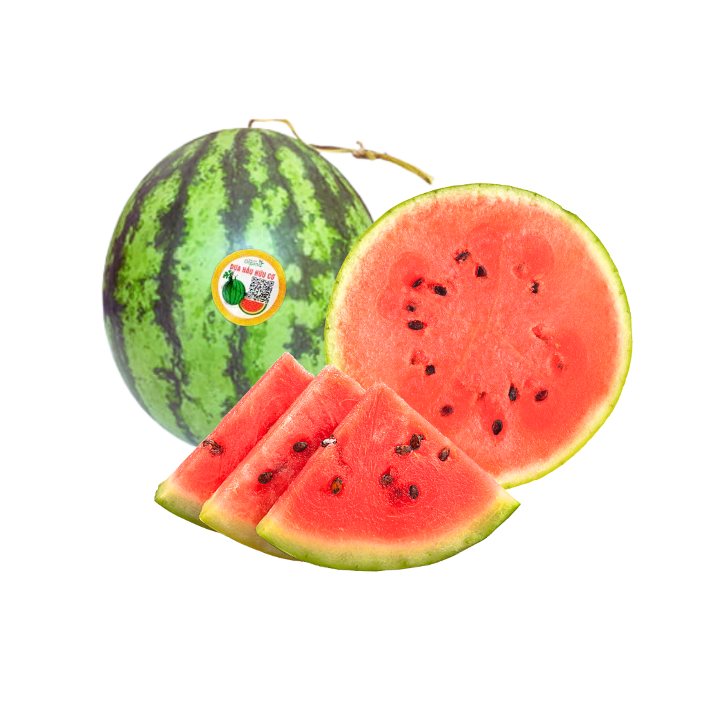 Dưa hấu hữu cơ Quế Lâm (trái 3kg)