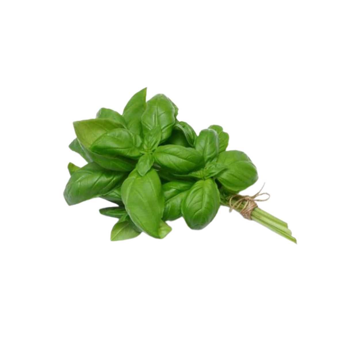 Quế tây Thạch Điền 30 g (I0013734)