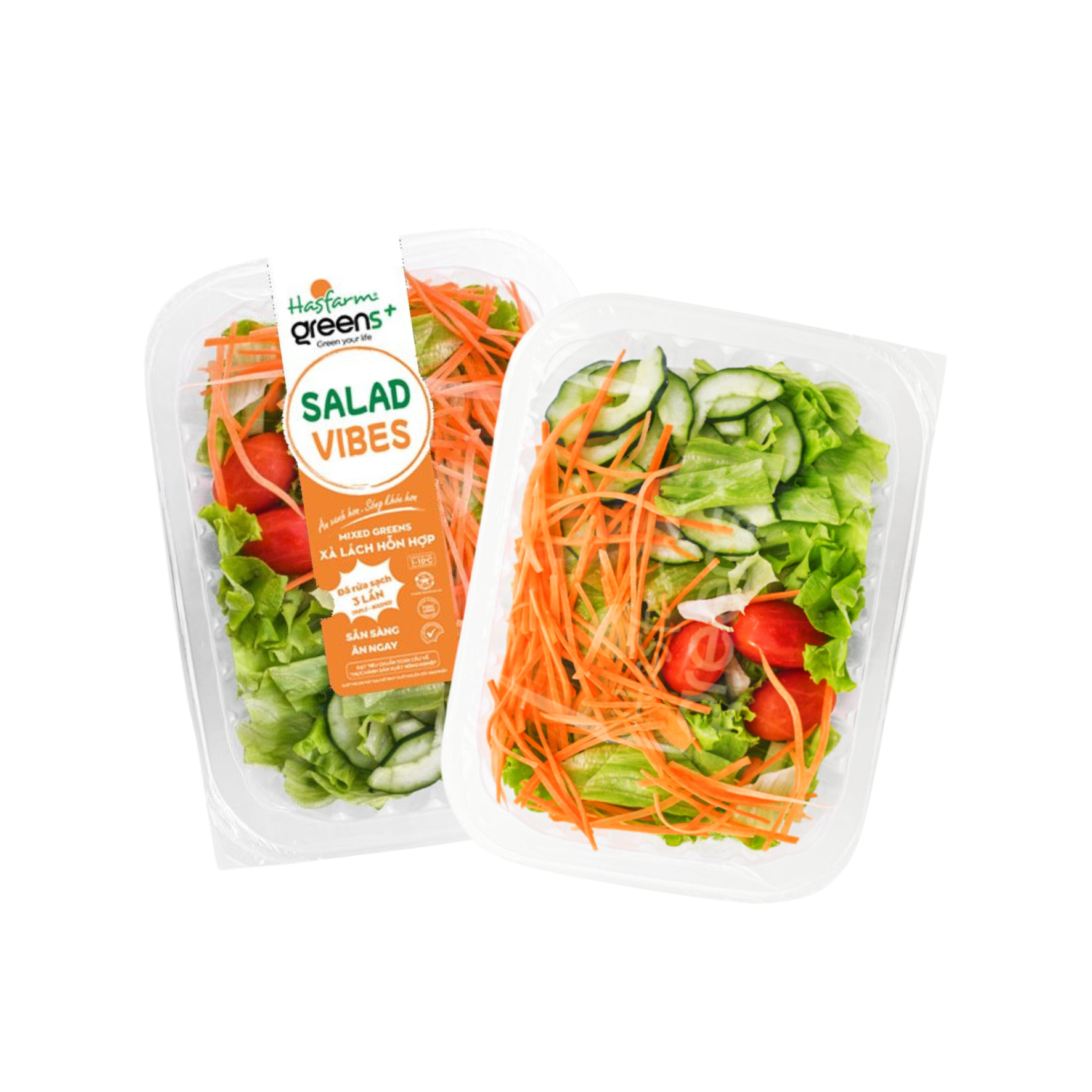 Salad hỗn hợp rau xanh Hasfarm - 150G/Hộp (I0016518)