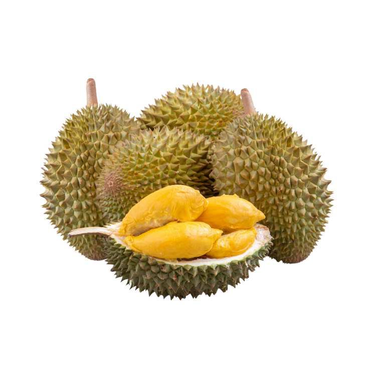 Sầu riêng Thái Lan -Trái (I0015526)