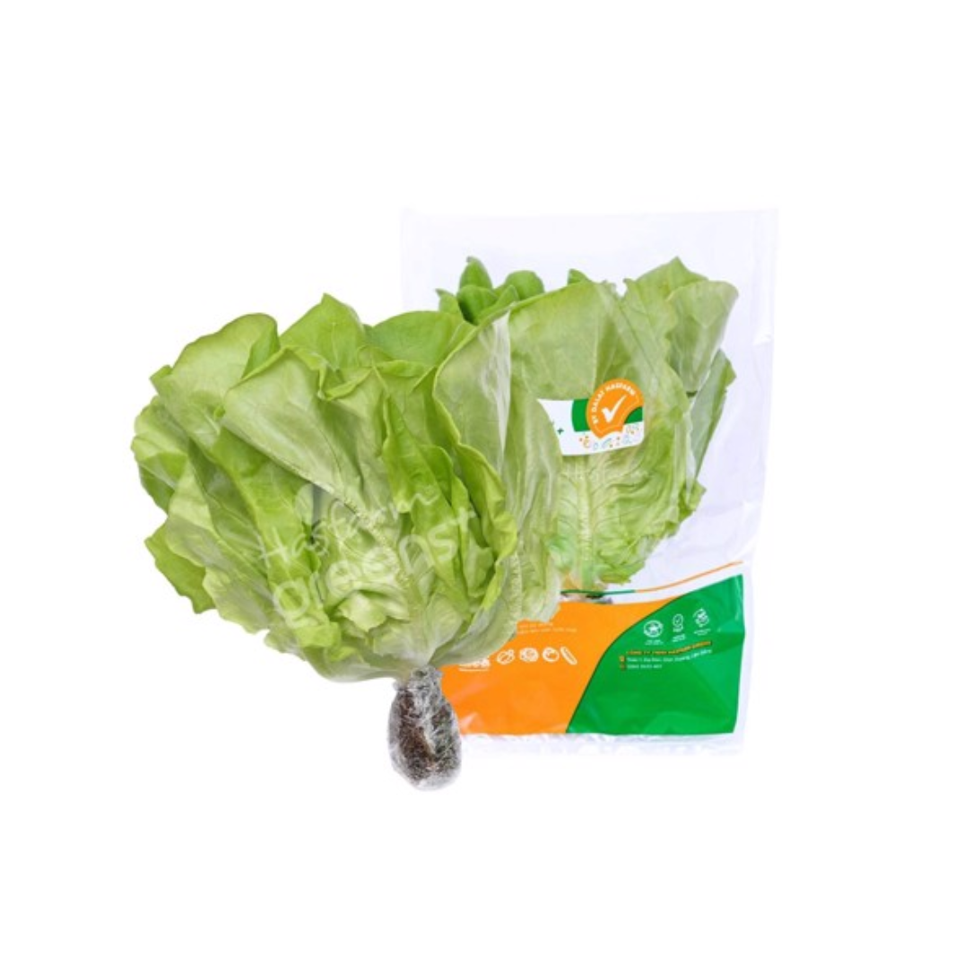 Xà lách mỡ thủy canh chuẩn an toàn quốc tế Hasfarm - 250G