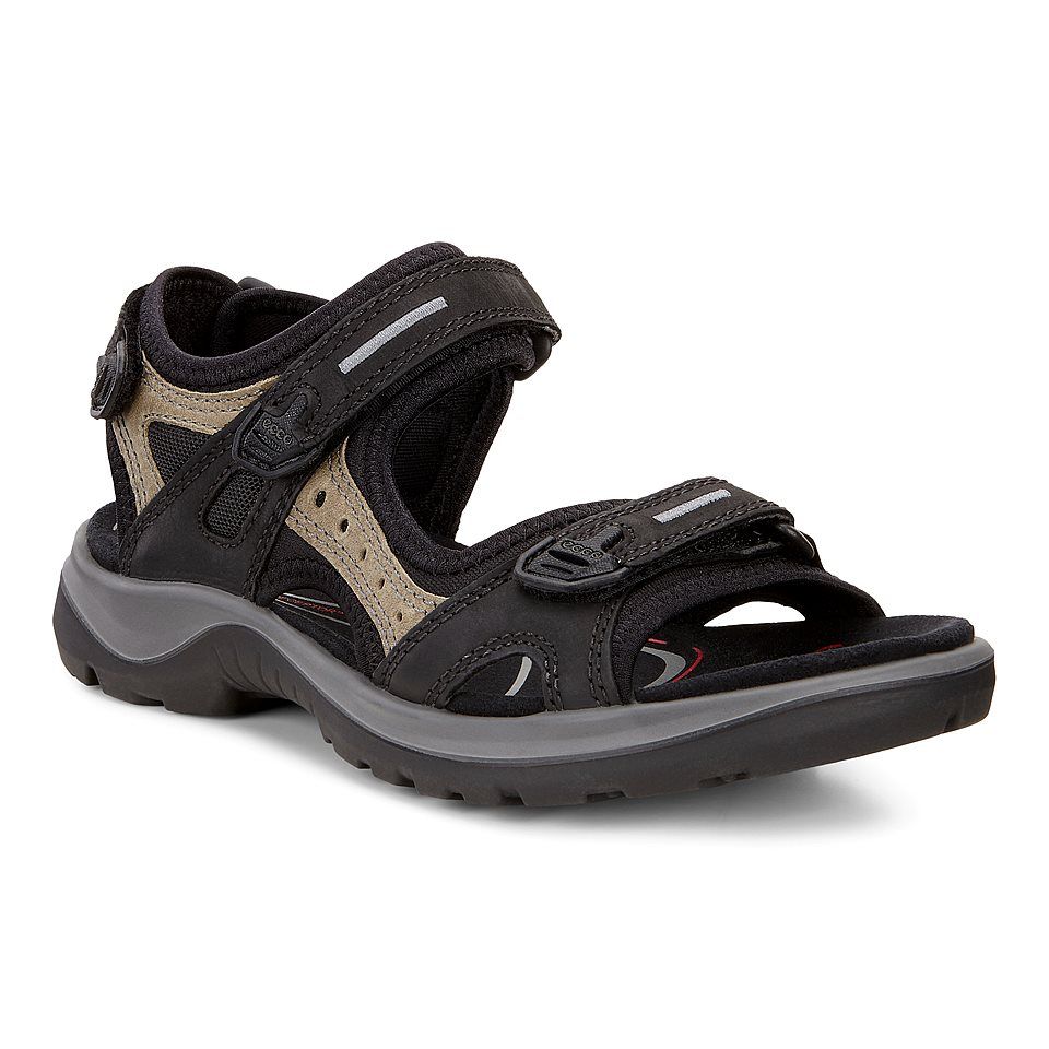 ECCO OFFROAD