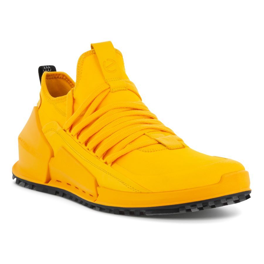 ECCO BIOM 20 M