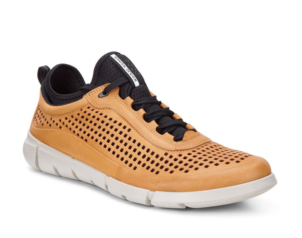 ECCO MENS INTRINSIC SNEAKER