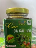  cao cà gai leo 