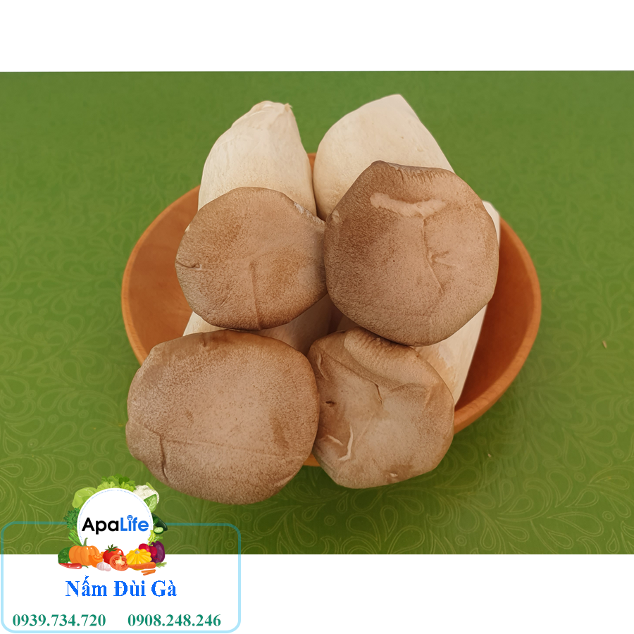 Nấm đùi gà - Khay 200Gr F005B