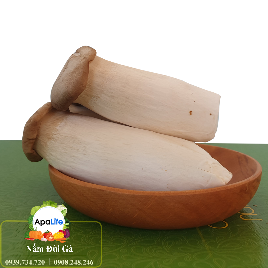 Nấm đùi gà - Khay 200Gr F005B