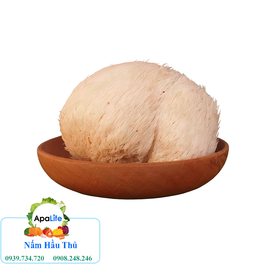 Nấm Hầu Thủ - Khay 200Gr F006B