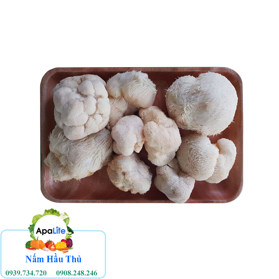 Nấm Hầu Thủ - Khay 200Gr F006B