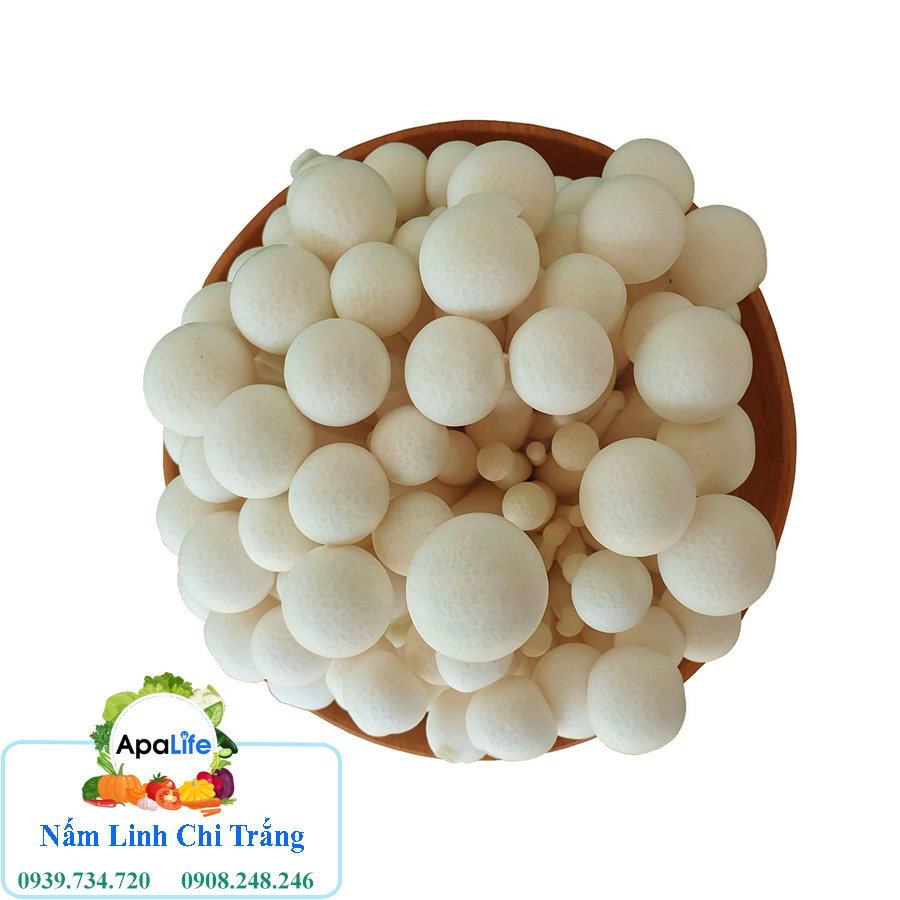 Nấm linh chi Trắng tươi - Hộp 125Gr F002