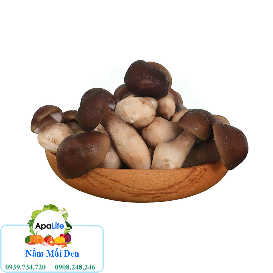 Nấm Mối Đen - Hộp 1Kg F012A