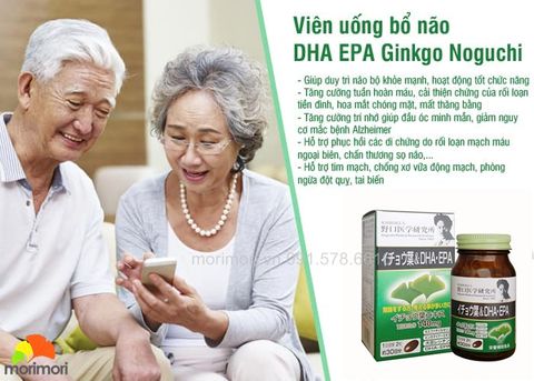 BỔ NÃO DHA EPA GINKGO NOGUCHI LOẠI 60V