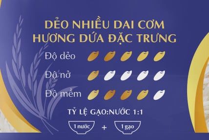 Gạo Đặc Sản ST25 Trạng Nguyên 5kg – Dẻo nhiều, dai cơm, thơm dứa - Chuẩn HACCP, VietGAP