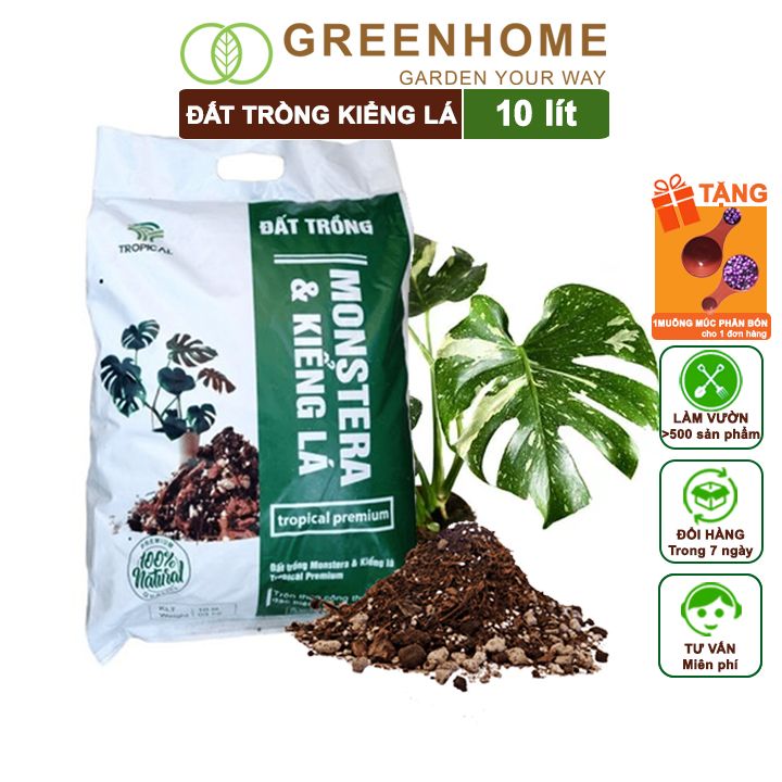 Đất Trồng Kiểng Lá, Bao 10 Lít (3kg), Giá Thể Trộn Sẵn, Tiện Lợi Cho Monstera, Rễ Khoẻ, Thân To, Lá Dày