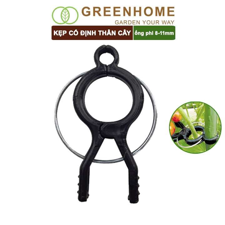 Kẹp cố định thân cây Nhật Bản, Daim, đỡ hoa, trái, tiện lợi, độ bền 5 năm |Greenhome