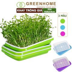 Bộ khay trồng giá, D34xR25xC5cm, nhiều màu sắc, nhựa nguyên sinh, an toàn, dễ trồng tại nhà |Greenhome