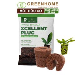 Mút ươm kie Hà Lan, 6x6x4cm, hữu cơ, kích rễ, ươm hạt, chiết cành, trồng thuỷ canh |Greenhome