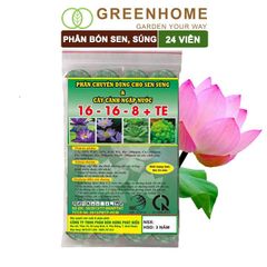 Phân bón hoa Sen, vỉ 24 viên, cây thuỷ sinh, ngập nước, cho hoa to, hoa đậm màu, lâu tàn, tốt lá |Greenhome