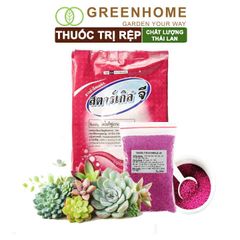 Thuốc tím trị rệp  Starkle-G, lưu dẫn, an toàn, hiệu quả, dùng cho sen đá, xương rồng |Greenhome