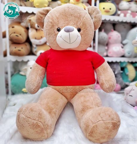 Gấu Bông Teddy - Áo Len Happy