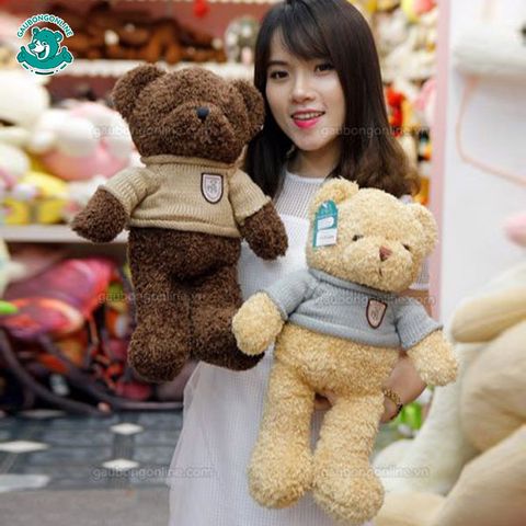 Gấu bông Teddy - Head Tales 50cm & 40cm