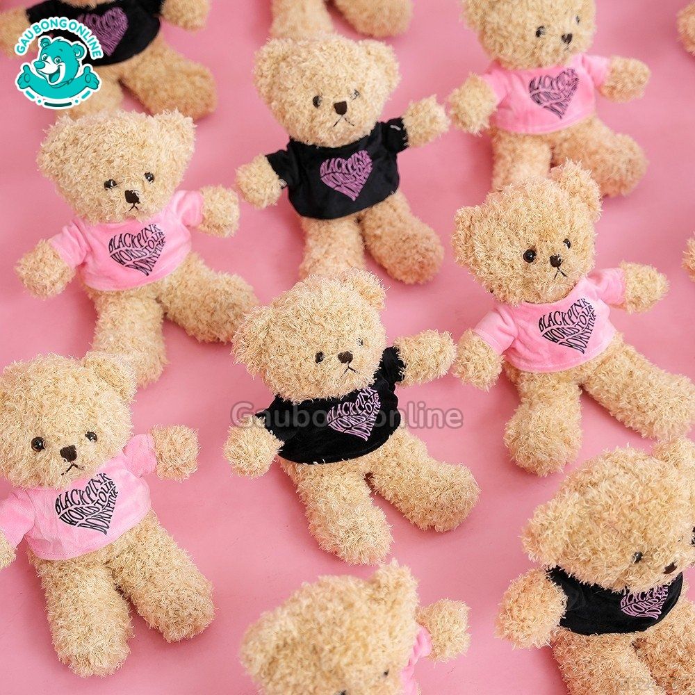 Gấu Bông Teddy MonPink