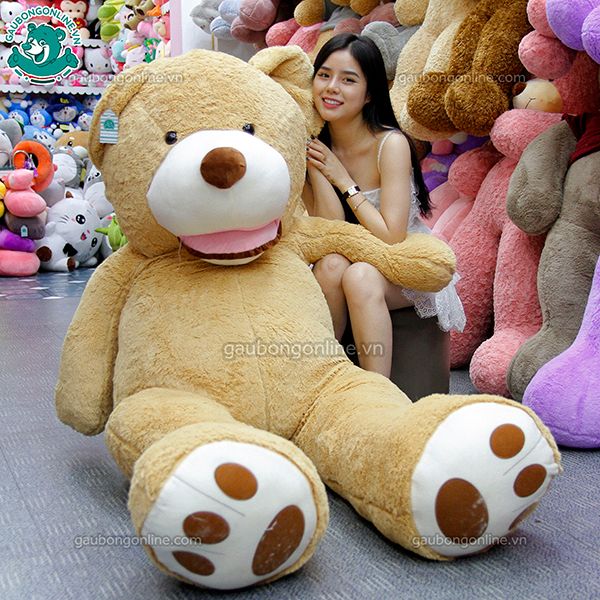 Gấu bông Teddy- Ted Bự