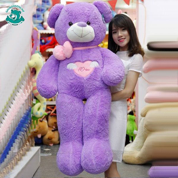 Gấu bông Teddy - Angel Tím 1m6 & 1m4