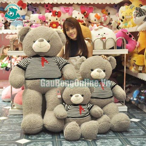 Gấu bông Teddy- Khăn Đỏ