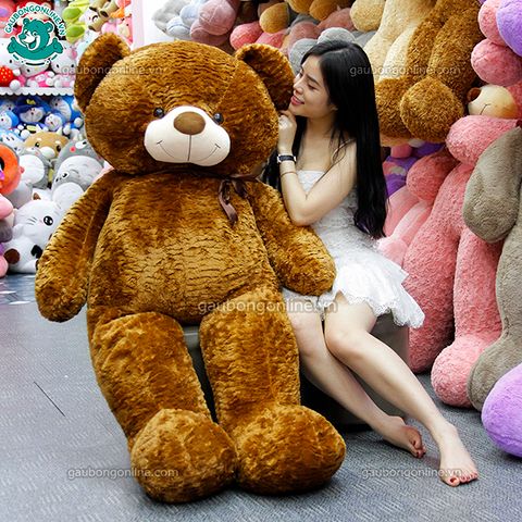 Gấu bông Teddy - Nâu