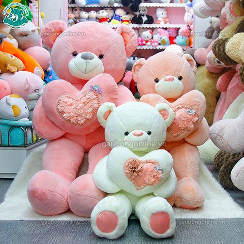 Gấu bông Teddy - Ôm Tim Hoa Đại