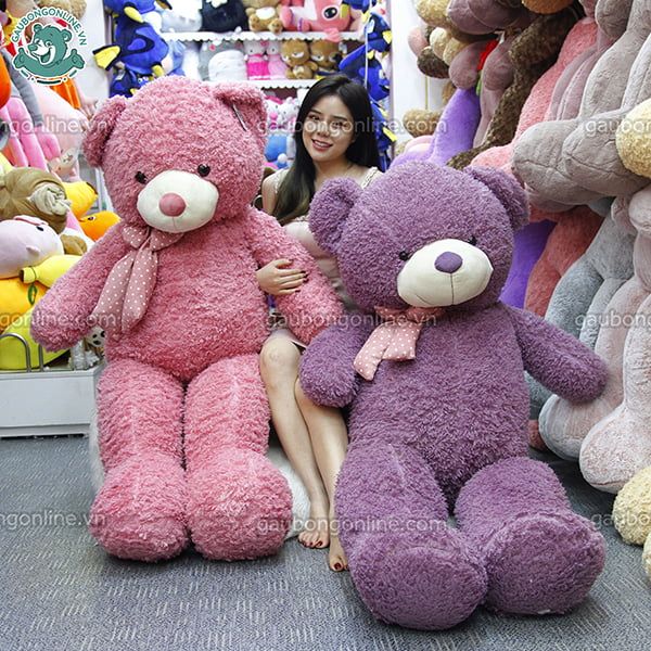 Gấu bông Teddy Xù