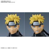  Figure-rise Standard - Naruto Uzumaki Plastic Model "NARUTO Shippuden" 
