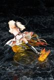  Fate/kaleid liner Prisma Illya 3rei!! - Illya/Saber 1/7 