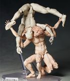  figma The Table Museum Vitruvian Man 