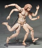  Figma - The Table Museum: Vitruvian Man 