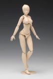  1/12 Scale Movable Body Female Type [C Version] Plastic Model 