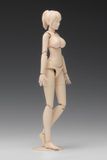  1/12 Scale Movable Body Female Type [C Version] Plastic Model 