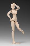  1/12 Scale Movable Body Female Type [C Version] Plastic Model 