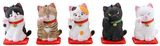  miniQ Miniature Cube Sato Kunio's Shoufuku Cat 8Pack BOX 