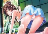  Artbook To Love-ru Harem Gold 