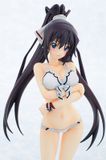  Houki Shinonono Swimsuit Ver 1/7 