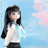  1/6 Pure Neemo Character Series No.146 "Akebi-chan no Sailor Fuku" Komichi Akebi Regular Edition 