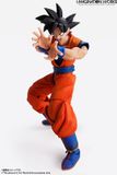  IMAGINATION WORKS Son Goku "Dragon BallZ" 