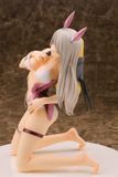  18+ Iris 1/6 