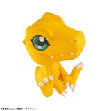  LookUp Digimon Adventure Agumon 