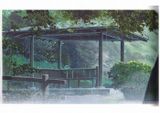  Makoto Shinkai - The Garden of Words: Memories of Cinema Official Art Book 