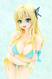  Sena Kashiwazaki Swimsuit 1/4 