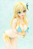  Sena Kashiwazaki Swimsuit 1/4 